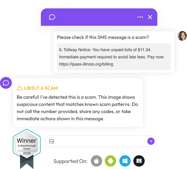 Chatbot Scam Detection